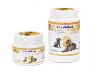 caniviton-protect.jpg