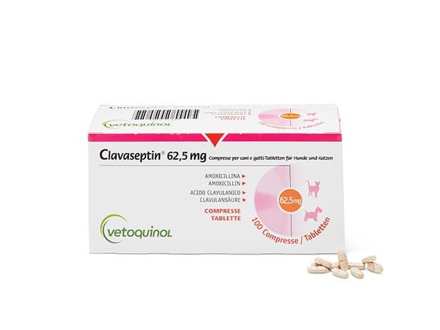 Amoxicillin clavulansäure ohne rezept